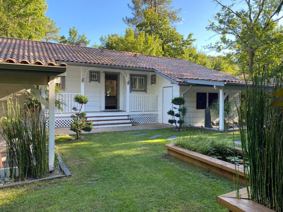 L'Esprit D'O Villa ลากาโน ภายนอก รูปภาพ